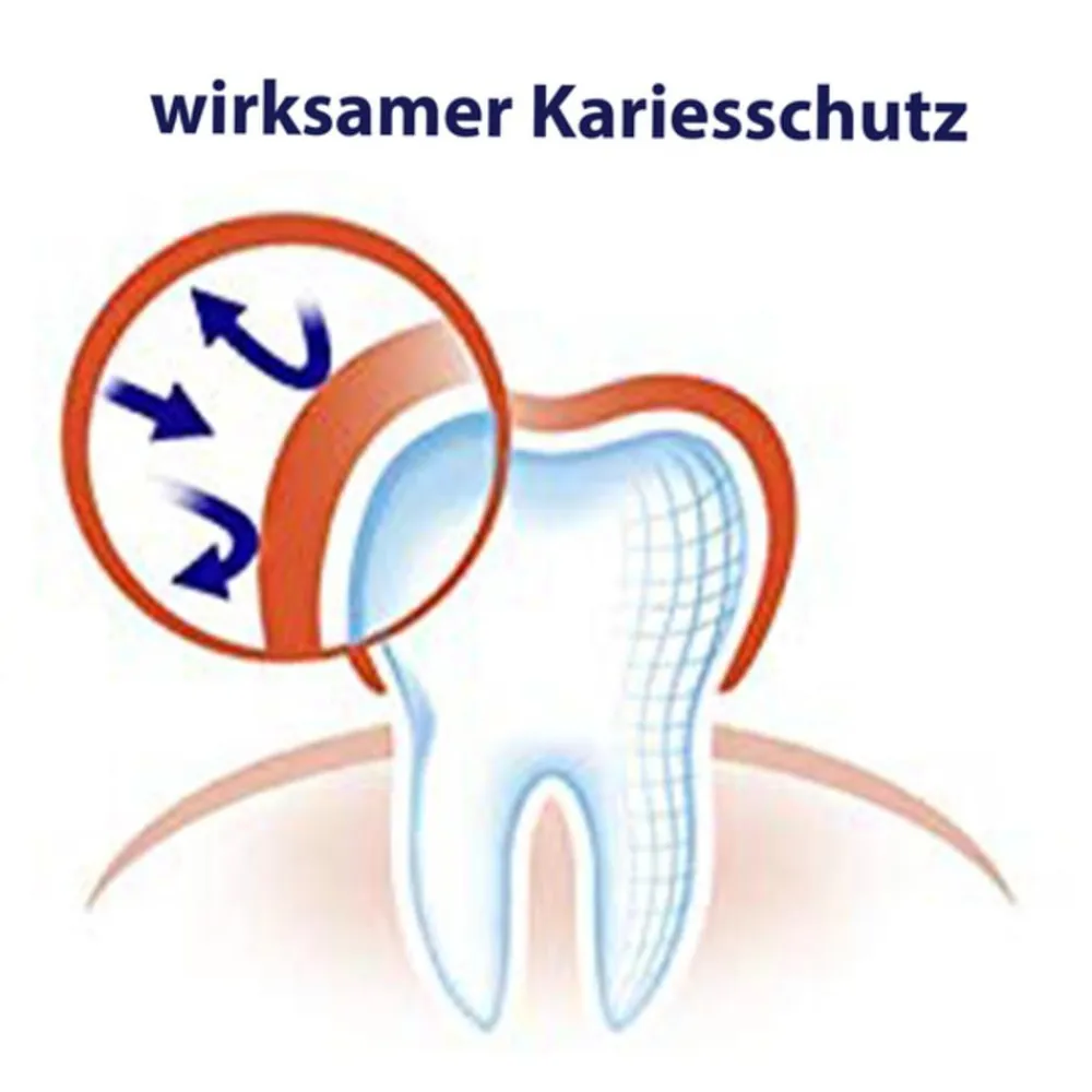 Junior Kinder-Zahnpasta|elmex Outlet