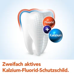 Kariesschutz Zahnpasta><noscript><img width=