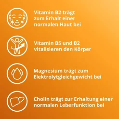 Elotrans® reload – Veganes Trinkpulver – nach anstrengenden Aktivitäten oder bei Erschöpfung, Isotonische Elektrolyt-Glucose-Mischung><noscript><img width=