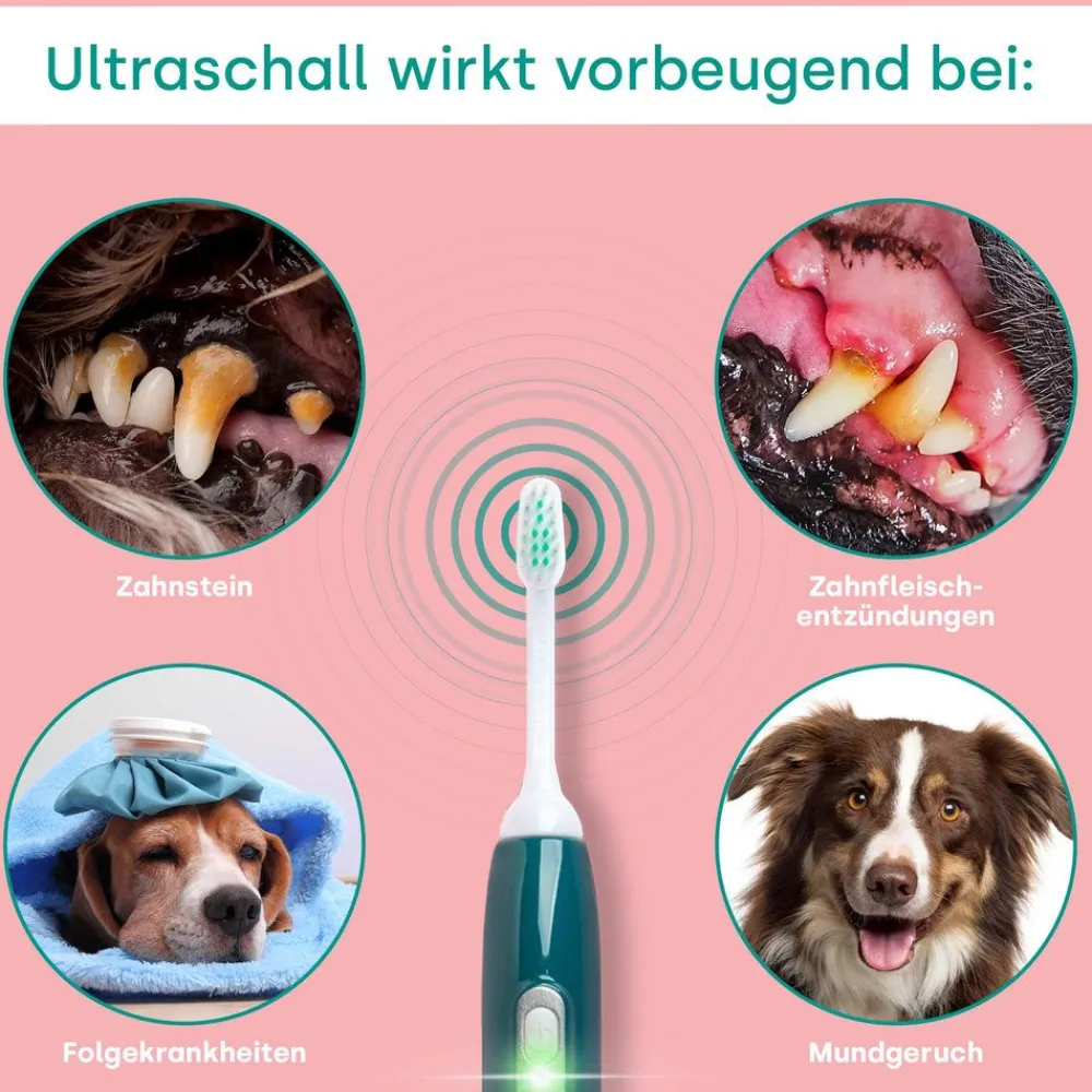emmi-pet PRO Basis Set> Hot