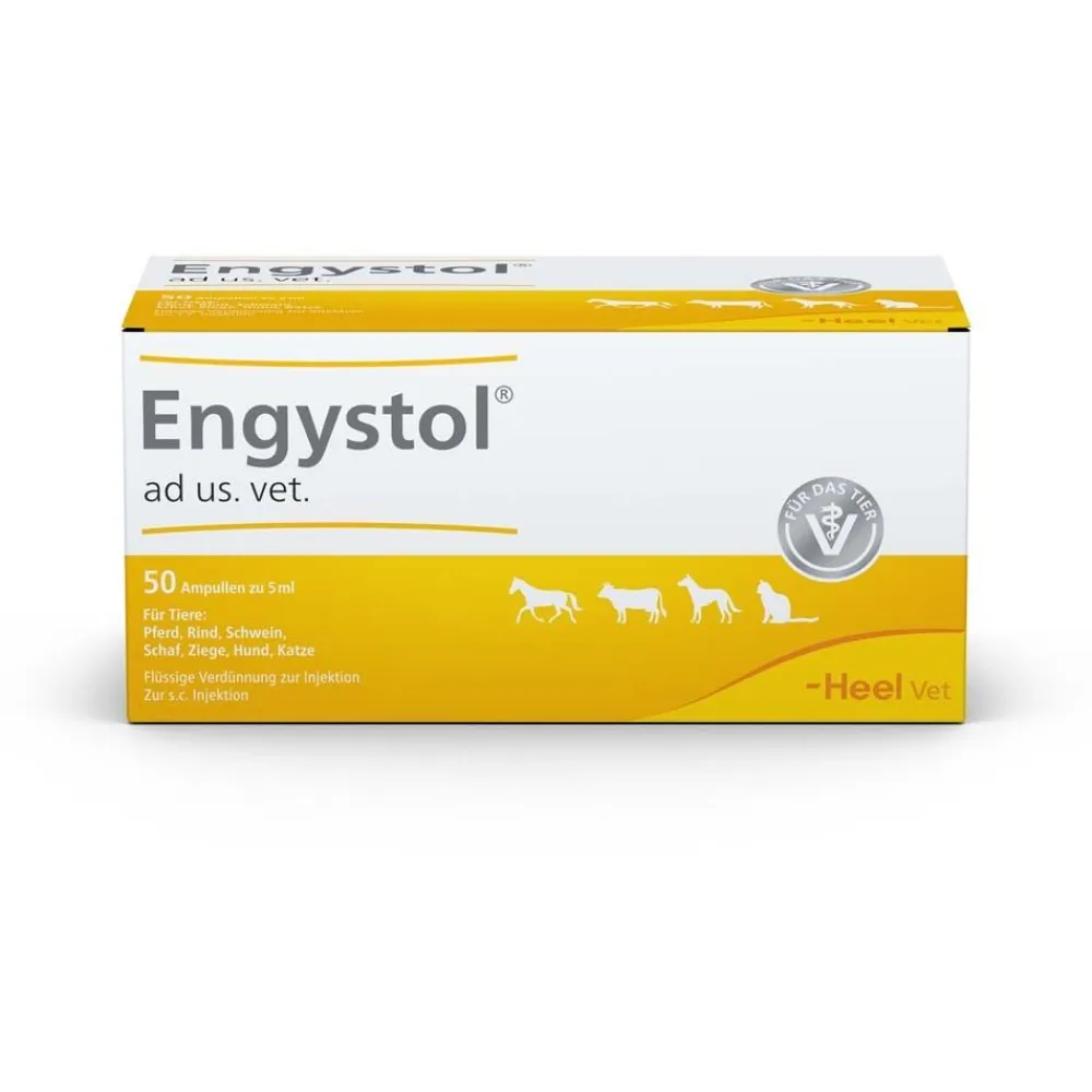 ® ad us. vet. Ampullen|Engystol New