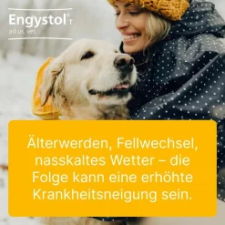 ® ad us. vet. Tabletten>Engystol Hot