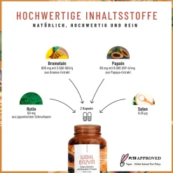 Enzym Komplex Rutin 800mg Bromelain 120 Kapsel Papain laborgeprüft vegan Wohlenzym ®>NATURTREU Hot
