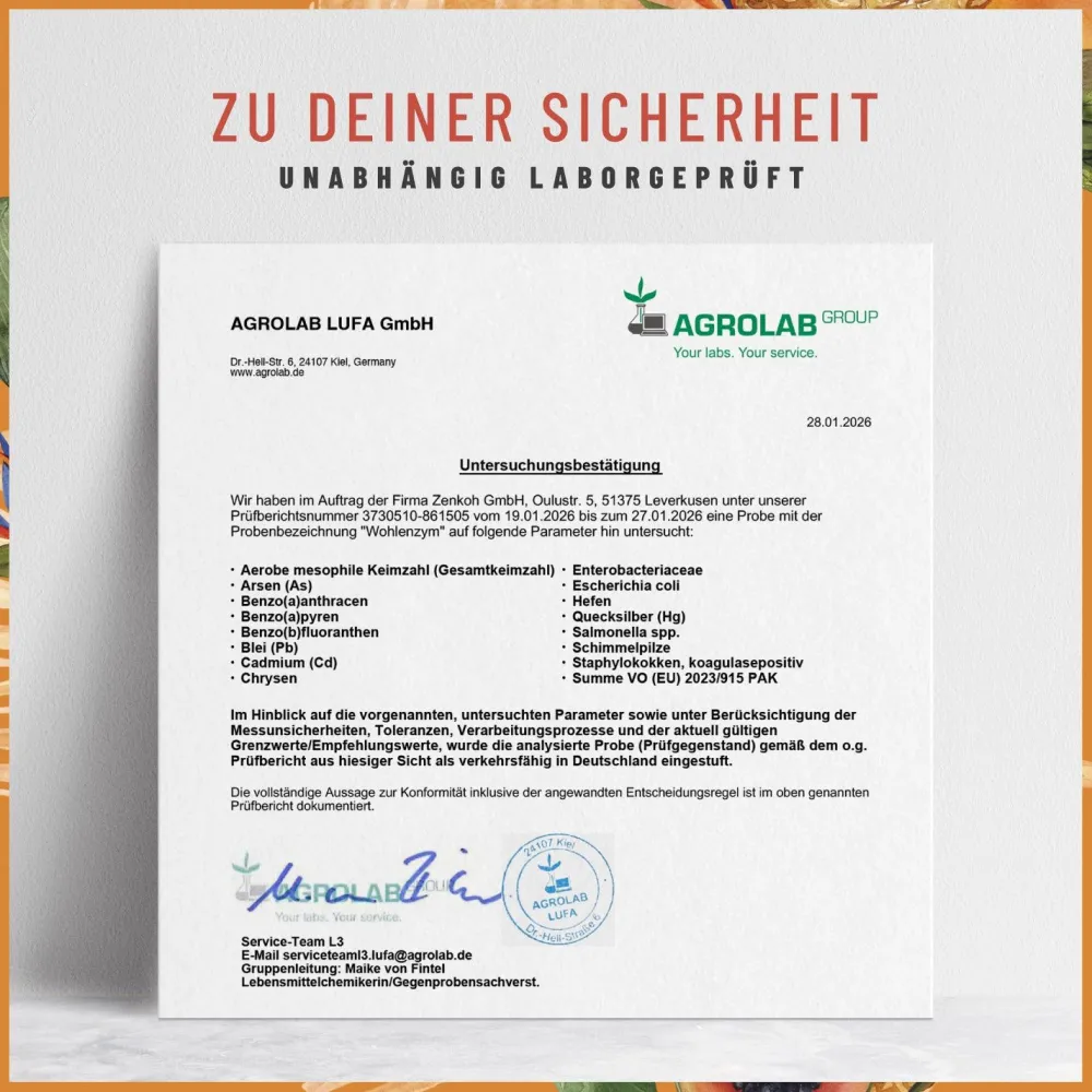 Enzym Komplex Rutin 800mg Bromelain 120 Kapsel Papain laborgeprüft vegan Wohlenzym ®>NATURTREU Hot