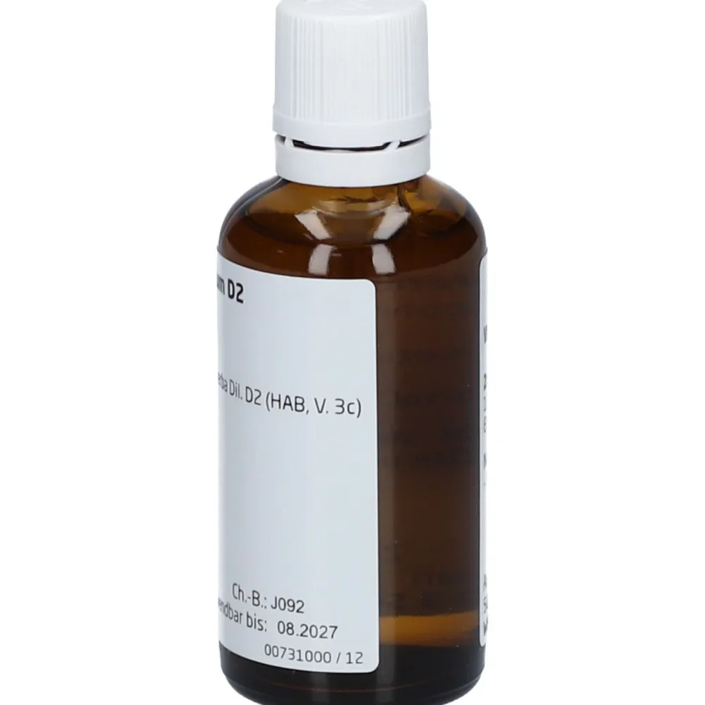 Equisetum arvense Silic. cult. D2 Dilution>WELEDA Hot