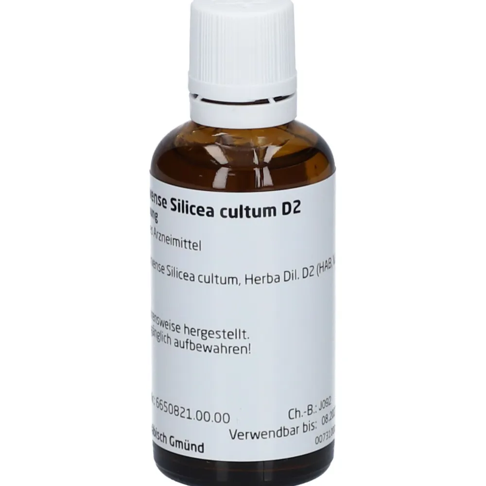 Equisetum arvense Silic. cult. D2 Dilution>WELEDA Hot