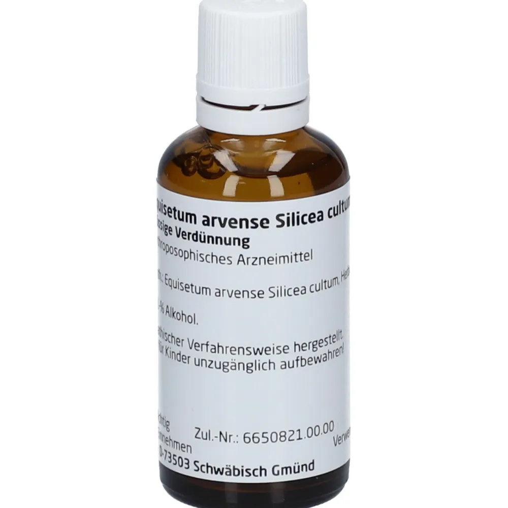 Equisetum arvense Silic. cult. D2 Dilution>WELEDA Hot