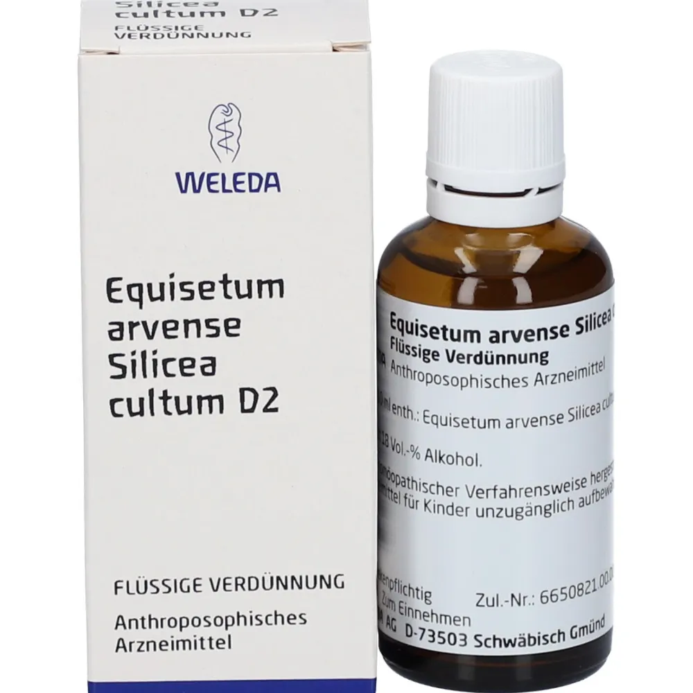 Equisetum arvense Silic. cult. D2 Dilution>WELEDA Hot