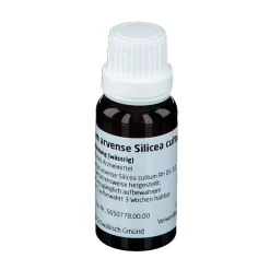 Equisetum Arvense Silicea Cultum Rh D3>WELEDA Online