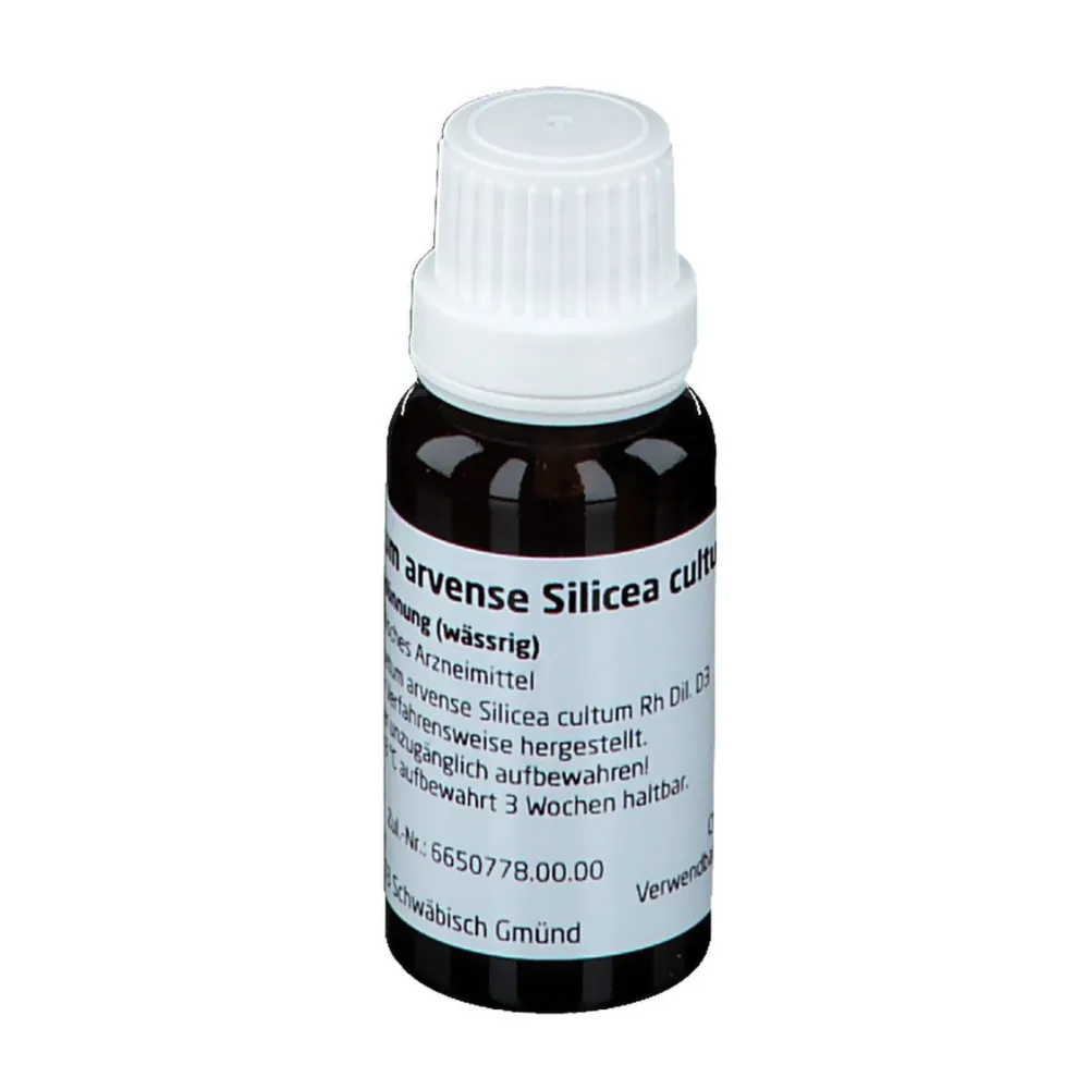 Equisetum Arvense Silicea Cultum Rh D3>WELEDA Online