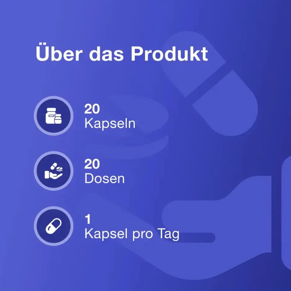 Erefit Men Extreme – Komplex für Männer – Alternative zu Viagra und Kamagra|