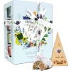 ETS - Wellness Tee Kollektion bio - Teegeschenk mit Schleife|English Tea Shop