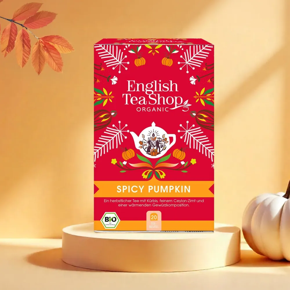 ETS - Wintertee 'Spicy Pumpkin', BIO, 20 Teebeutel| Sale