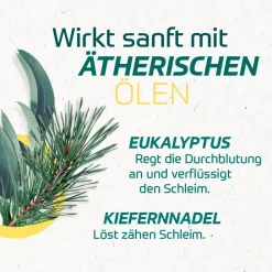 Eucabal-Balsam – Pflanzlicher Erkältungsbalsam für die ganze Familie – Befreit die  Atemwege und fördert das Abhusten – Frei von Menthol, Campher und Konservierungsstoffen><noscript><img width=