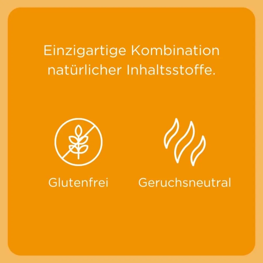 Euphorbium comp. Nasentropfen SN Spray> New