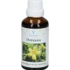 ® Damiana|EVOLUTION New