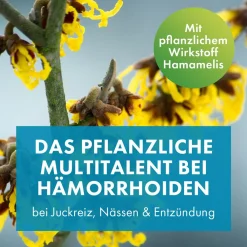 Lind Hämorrhoidensalbe - bei Jucken, Nässen, Brennen, Entzündungen, kleinen Blutungen, 50 g (mit Applikator)|FAKTU Best