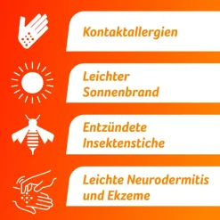 Creme 0,25 %, Hydrocortison 2,5 mg/g, , wirksam bei Hautentzündungen|Fenihydrocort Sale