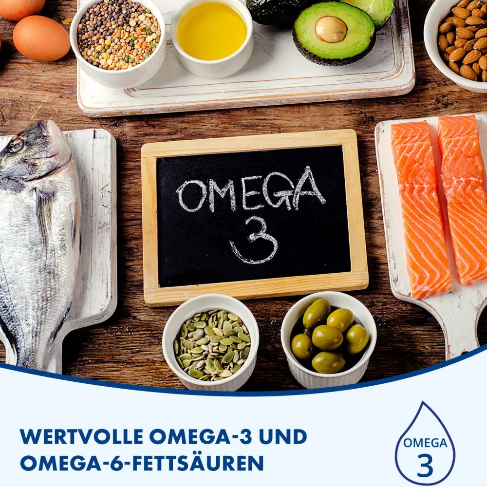 FOKUS IQ QUIRIS zur Unterstützung geistiger Leistungsfähigkeit mit Omega-3 und 6 und Vitamin-Mineralstoff Komplex>