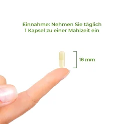 Folsäure 400 µg Bioaktiv - BioActive Folate Vitality Nutritionals| Clearance
