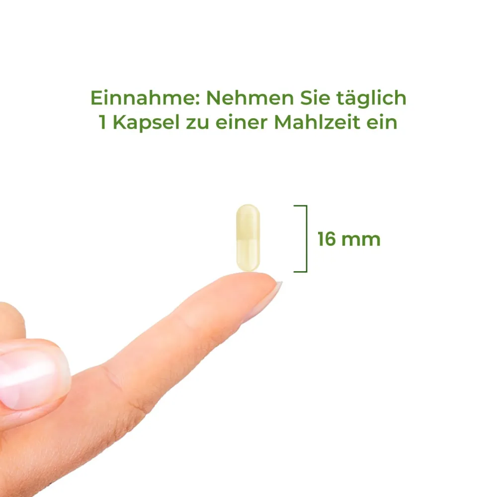 Folsäure 400 µg Bioaktiv - BioActive Folate Vitality Nutritionals| Clearance