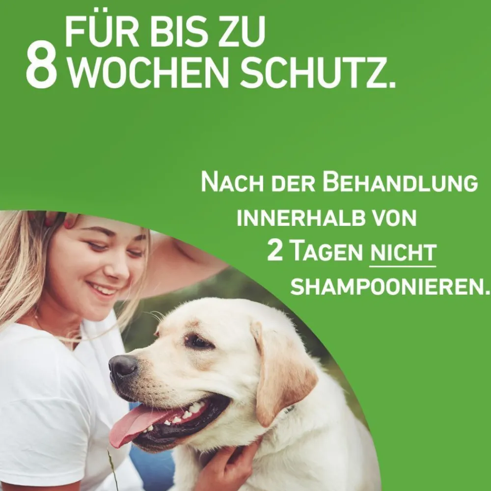 COMBO® Spot on gegen Flöhe und Zecken Hund XL über 40kg|Frontline Best
