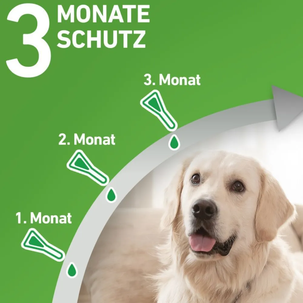 COMBO® Spot on gegen Flöhe und Zecken Hund M 10-20kg|Frontline Online