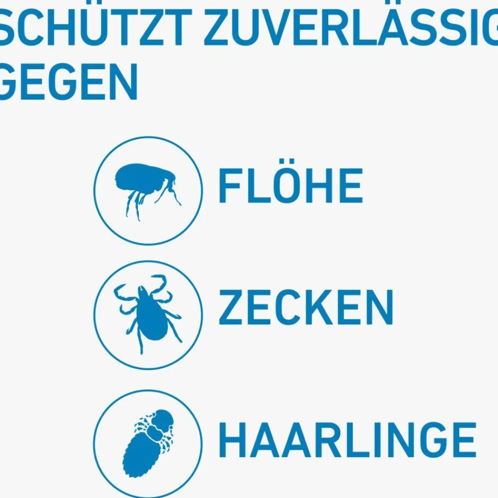 ® SPOT ON Hund (2-10kg) gegen Zecken und Flöhe|Frontline Outlet