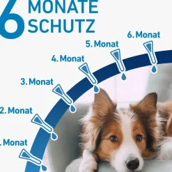 ® SPOT ON Hund (2-10kg) gegen Zecken und Flöhe|Frontline Outlet