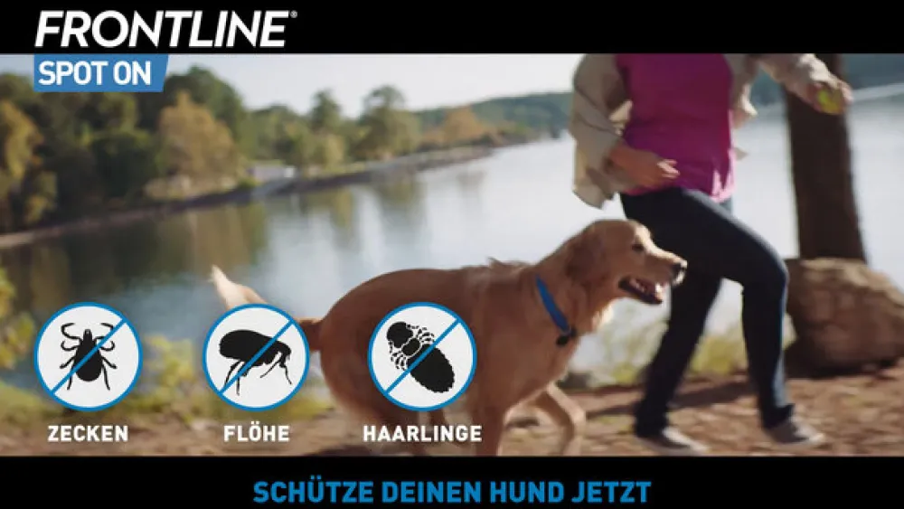 ® SPOT ON Hund (2-10kg) gegen Zecken und Flöhe|Frontline Outlet