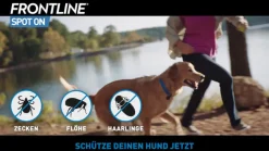 ® SPOT ON Hund (20-40kg) gegen Zecken und Flöhe|Frontline Discount