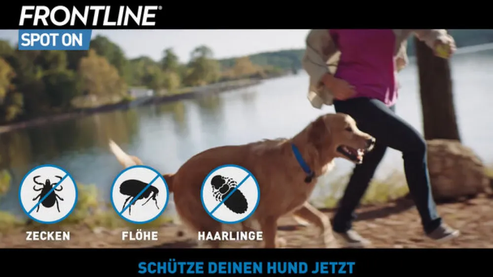 ® SPOT ON Hund (20-40kg) gegen Zecken und Flöhe|Frontline Discount