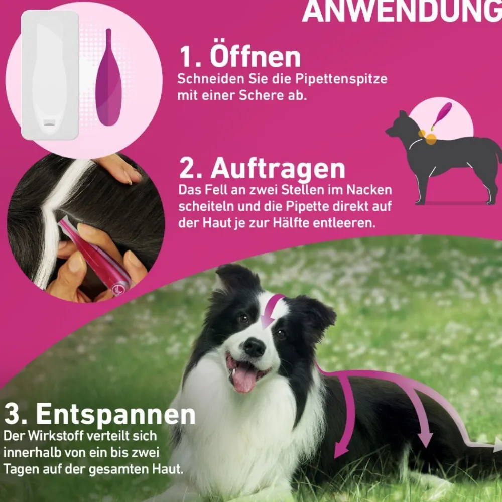 TRI-ACT® gegen Zecken, Flöhe und fliegende Insekten beim Hund (20-40kg)>Frontline Clearance