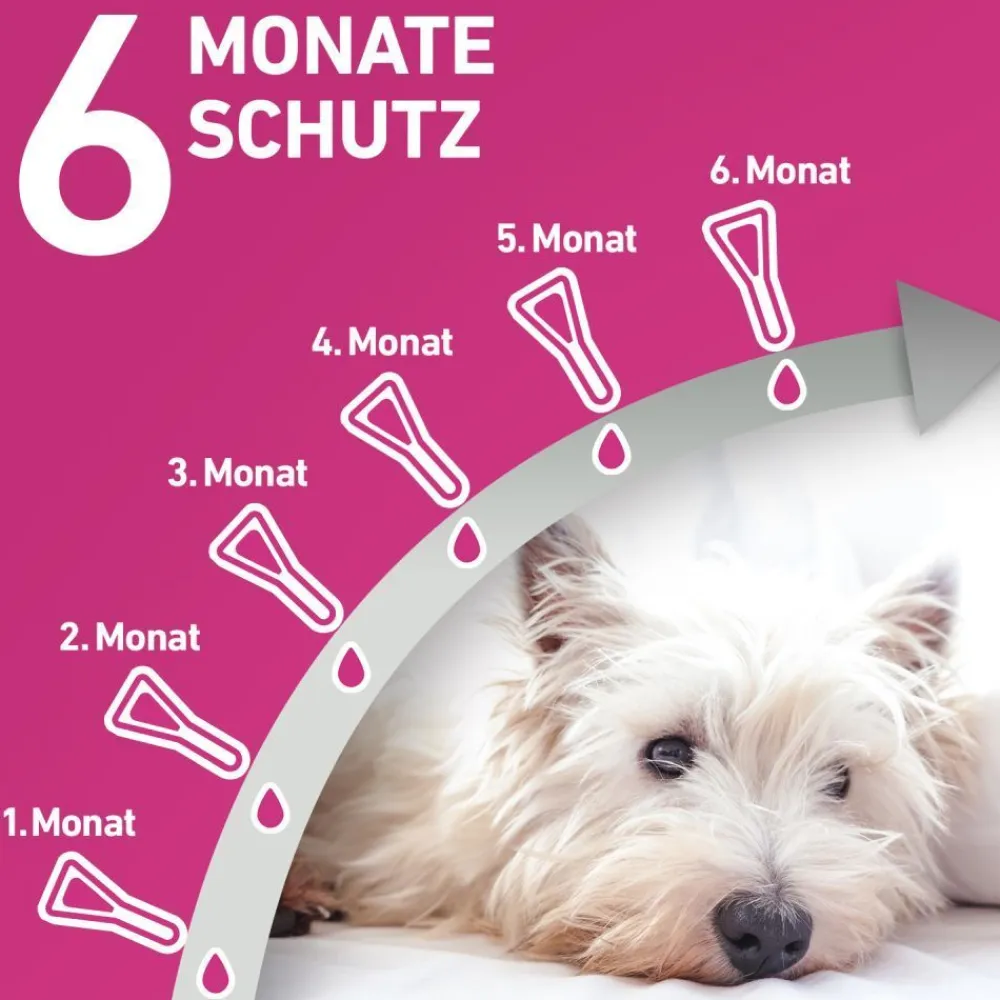 TRI-ACT® gegen Zecken, Flöhe und fliegende Insekten beim Hund (20-40kg)>Frontline Clearance