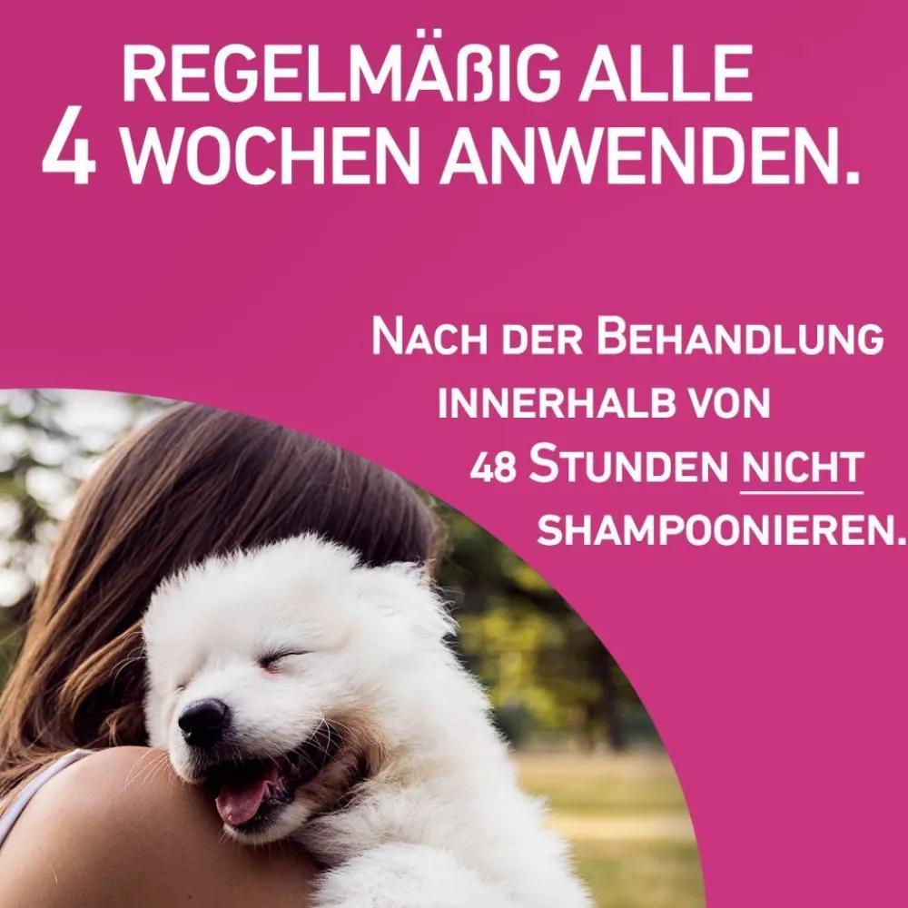 TRI-ACT® gegen Zecken, Flöhe und fliegende Insekten beim Hund (20-40kg)>Frontline Clearance