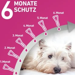 TRI-ACT® gegen Zecken, Flöhe und fliegende Insekten beim Hund (2-5kg)><noscript><img width=