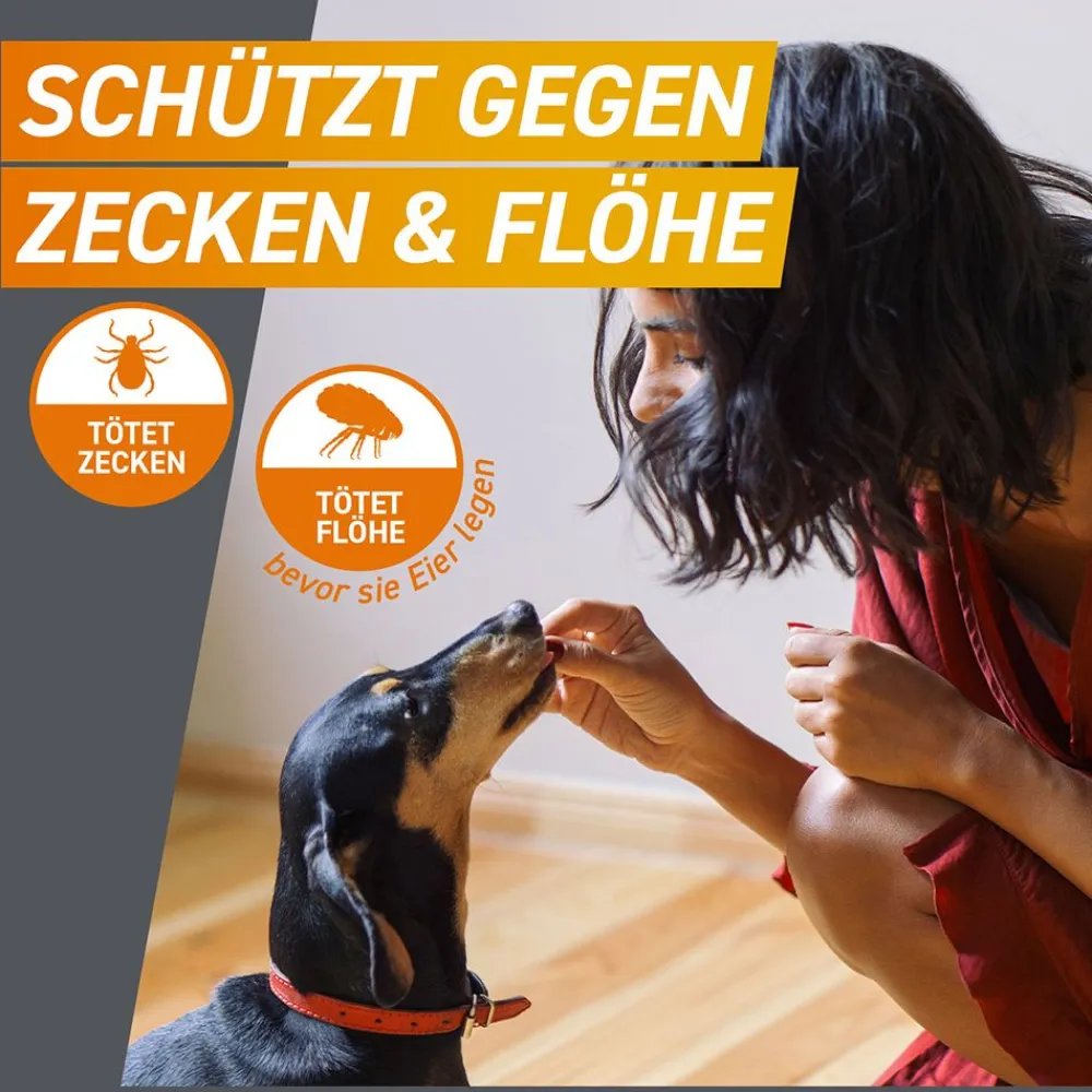 FRONTPRO® Kautablette gegen Zecken und Flöhe für Hunde (>10-25kg)| Discount