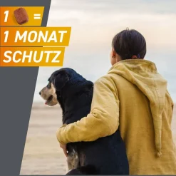 FRONTPRO® Kautablette gegen Zecken und Flöhe für Hunde (><noscript><img width=