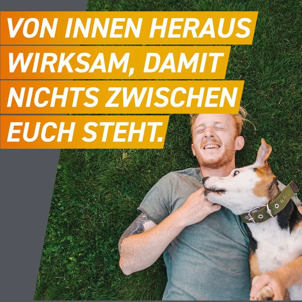 FRONTPRO® Kautablette gegen Zecken und Flöhe für Hunde (>10-25kg)| Discount