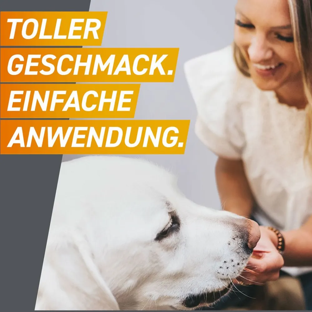 FRONTPRO® Kautablette gegen Zecken und Flöhe für Hunde (2-4kg)> Hot