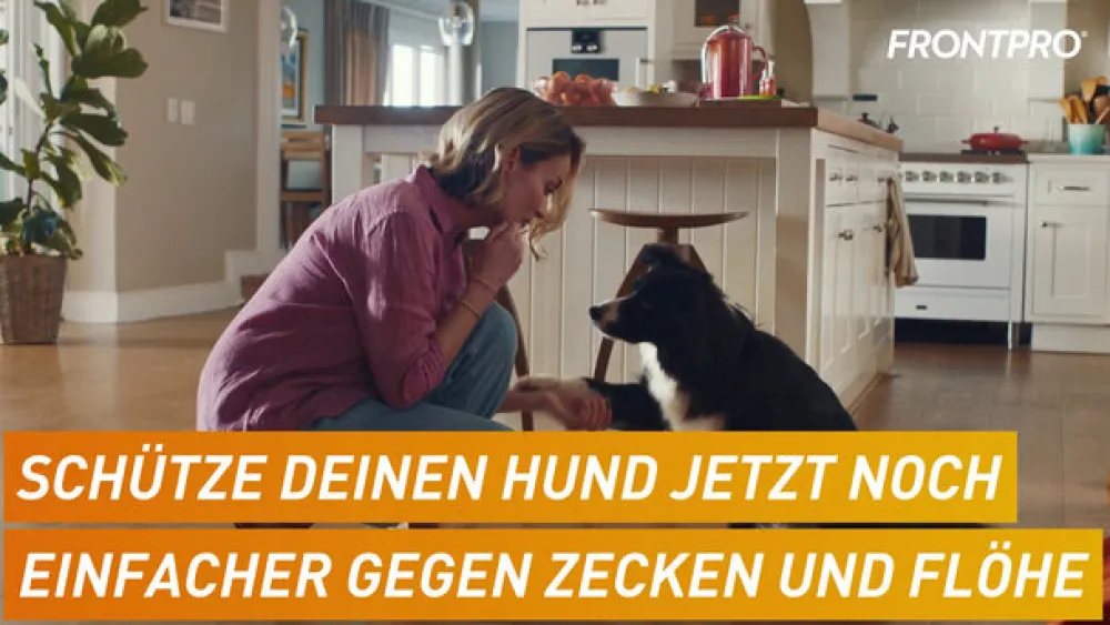 FRONTPRO® Kautablette gegen Zecken und Flöhe für Hunde (2-4kg)> Hot