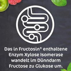 FRUCTOSiN® - zur Linderung von durch Fruktosemalabsorption bedingten Verdauungsbeschwerden><noscript><img width=
