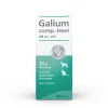 Galium comp.-Heel® ad us. vet. Tropfen> Outlet