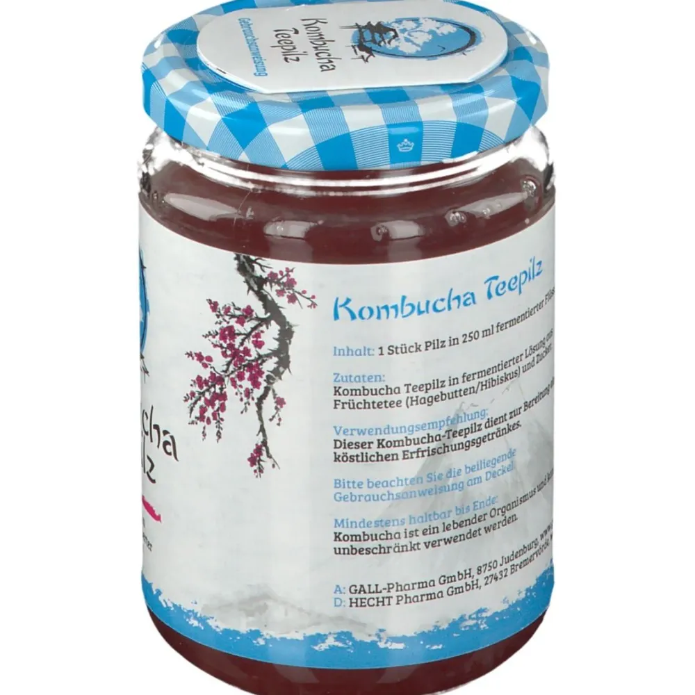 Kombucha Teepilz|Gall Pharma Sale