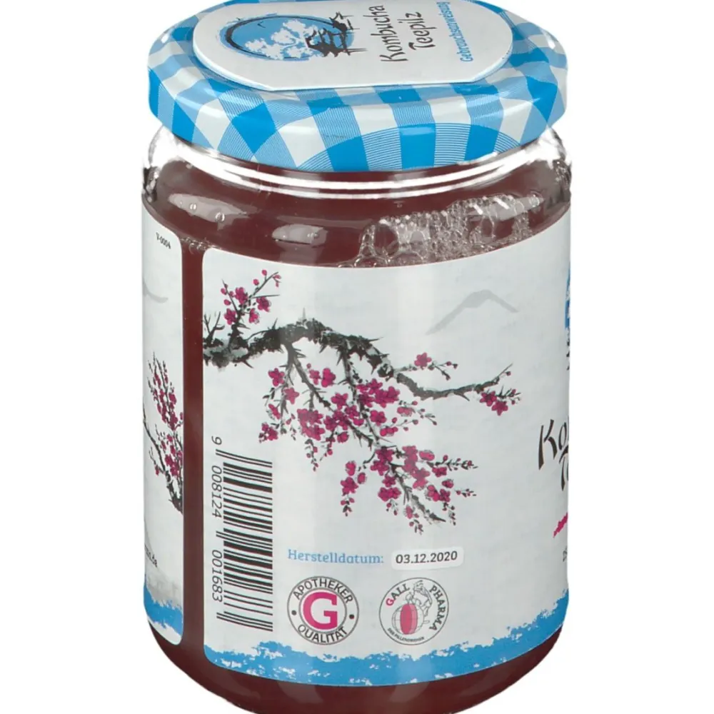 Kombucha Teepilz|Gall Pharma Sale