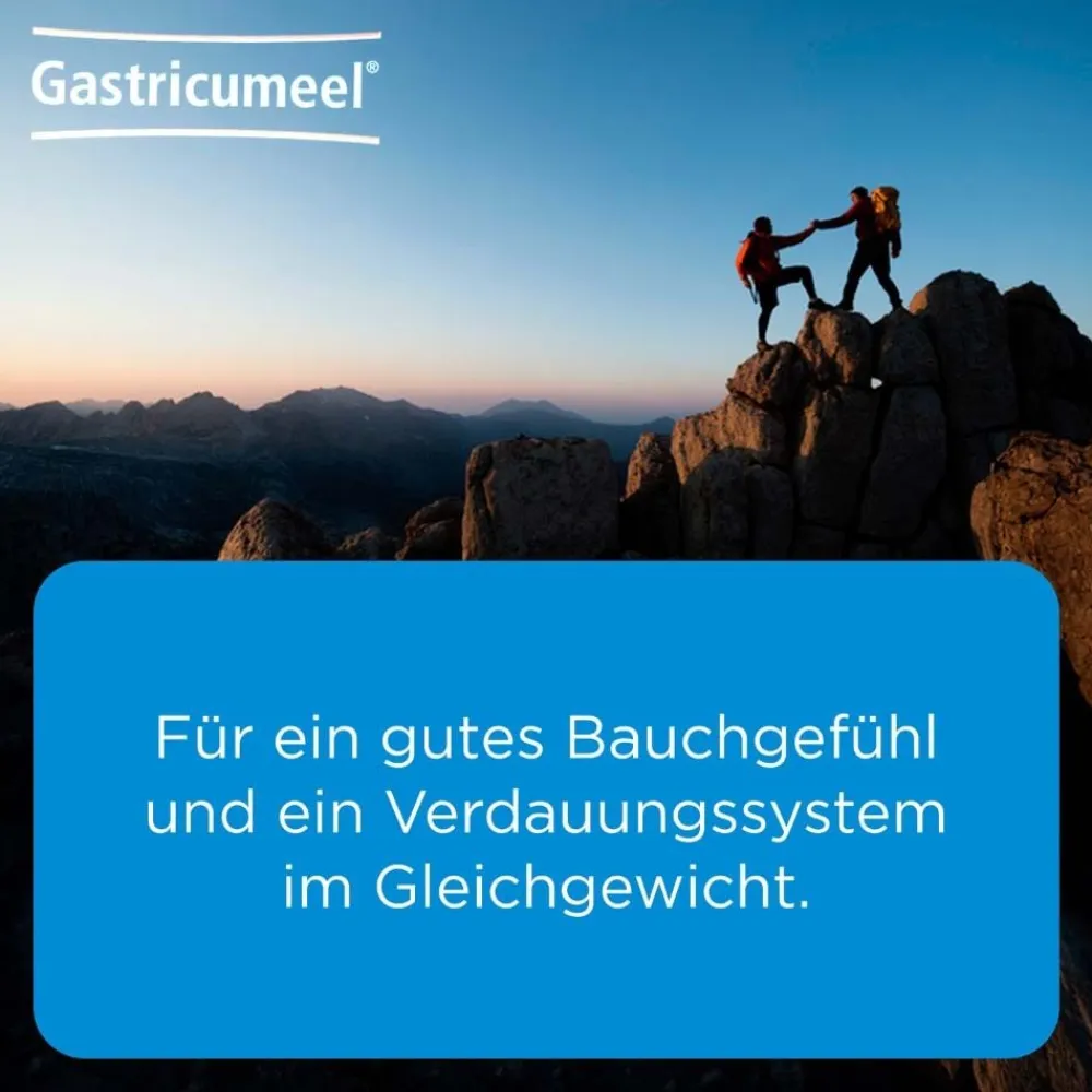 Gastricumeel® Tabletten>