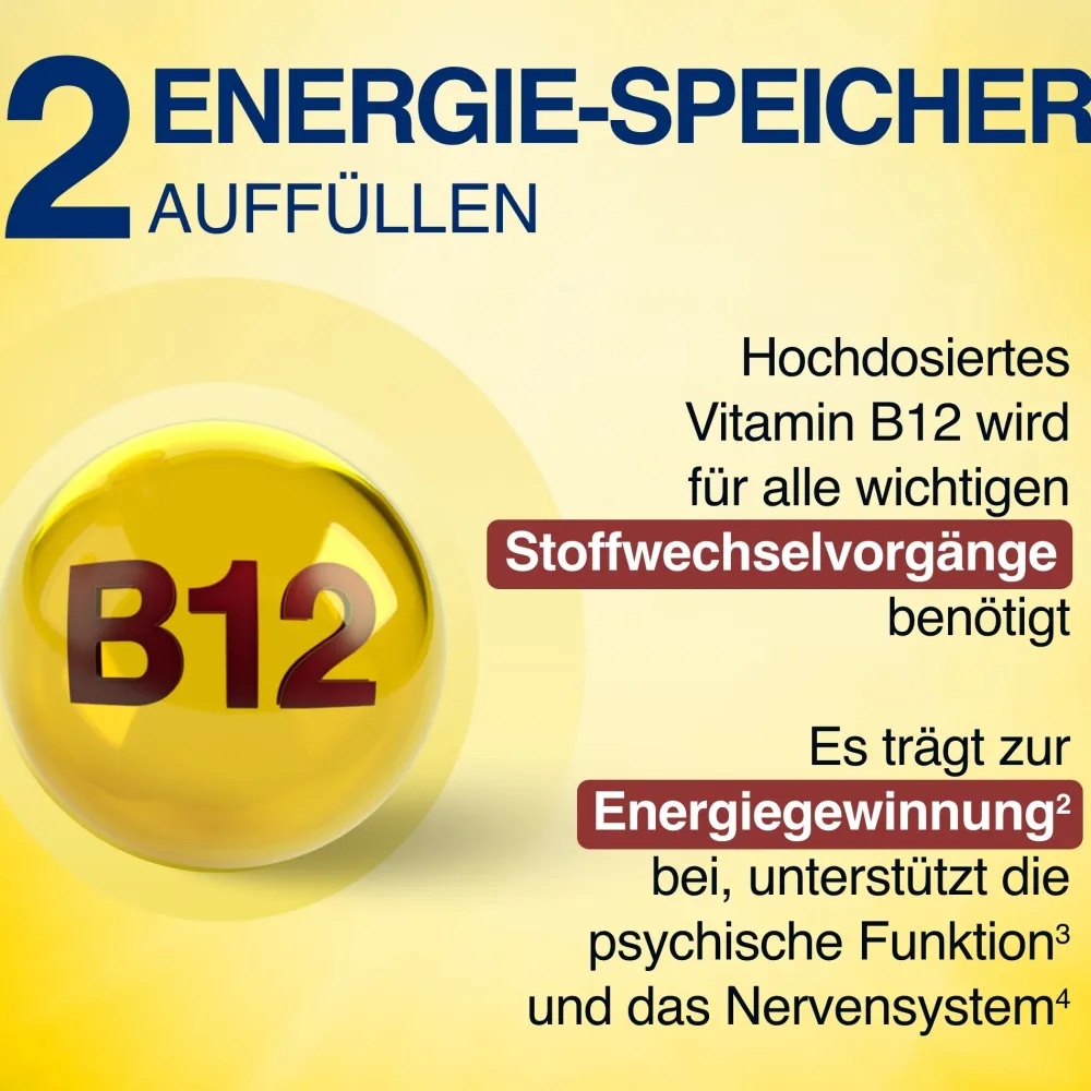 ® Cannabis Plus Kapseln mit Vitamin B12|Gelencium Sale