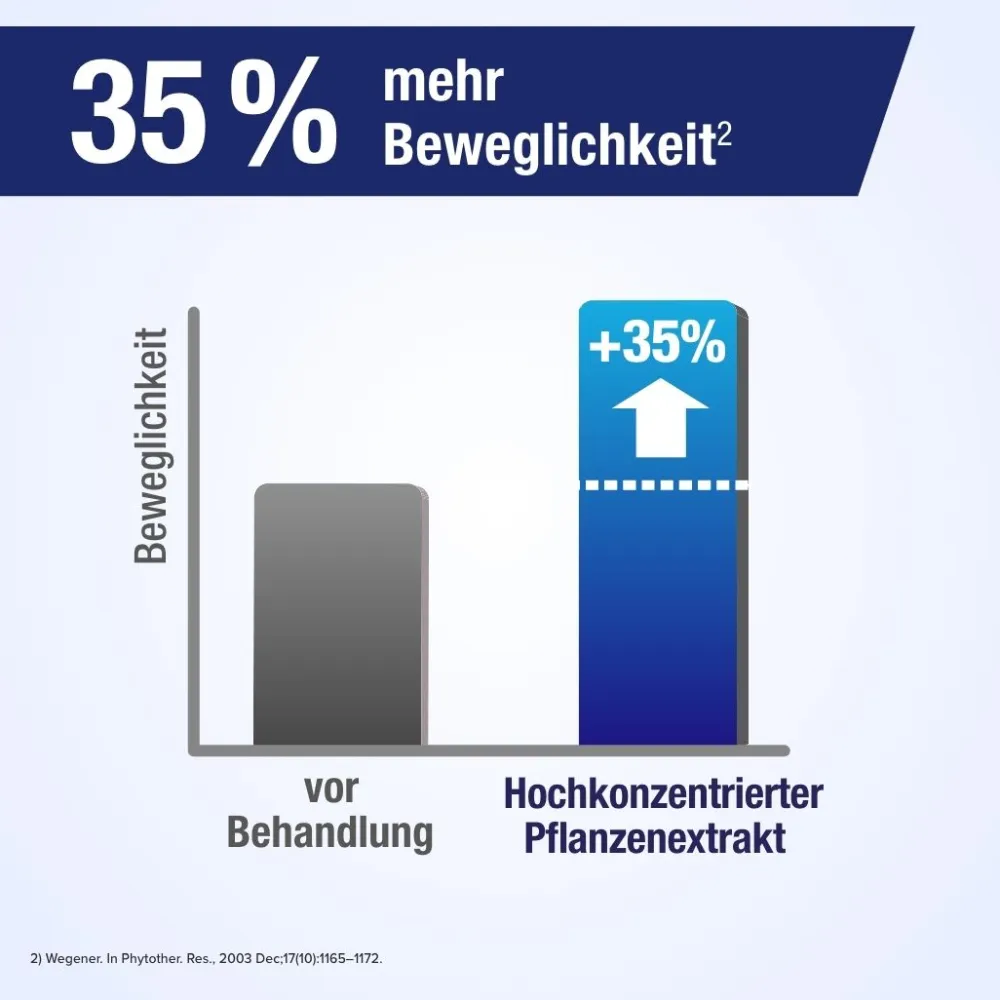 ® EXTRACT bei Arthrose, Gelenk- und Rückenschmerzen|Gelencium Hot