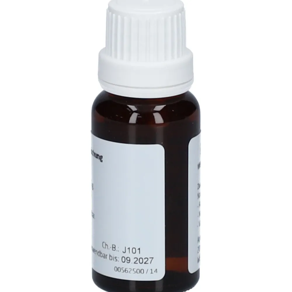 Gentiana Lutea Rh 5 %>WELEDA Hot