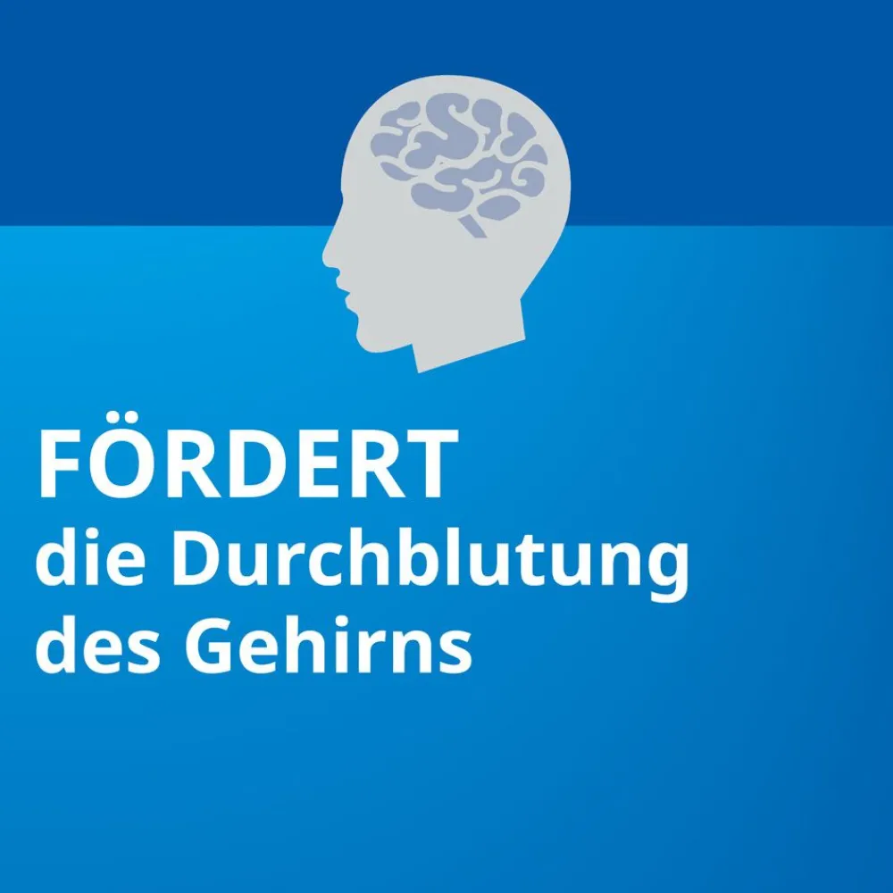 Ginkgo Biloba STADA® 120 mg bei Gedächtnis- und Konzentrationsstörungen - Jetzt 15% mit dem Code stada15 sparen*>